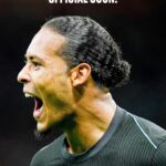 Virgli Van New Deal at Liverpool